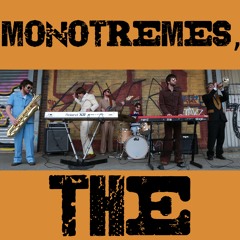 The Monotremes