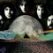 greatestcoversofalltime