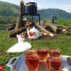 Nooshin Fathipour