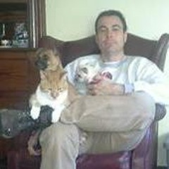 David Huffman 9