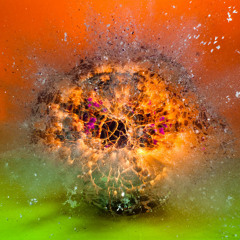 Damien Cattet (Daminos)