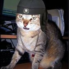 Kuma Kommando