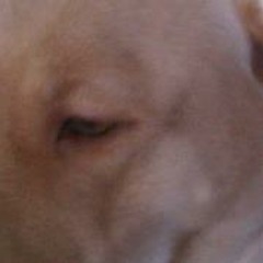 mateoblues