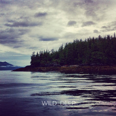 WILD DEEP