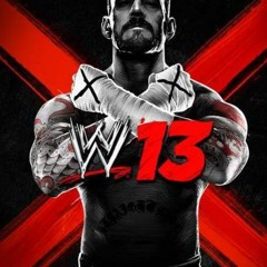 CM Punk _2013