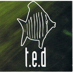 TED thisendlessday