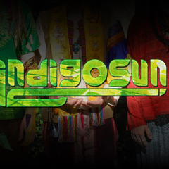 IndigoSun