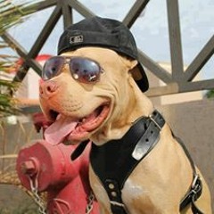 Emerson Ivandro Jose