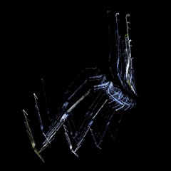 She's Crafty (Beastie Boys Cover)