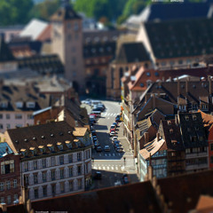 gavin gabriel houston6