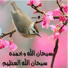 senty33