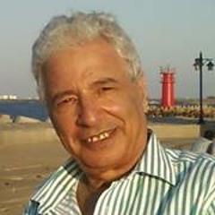 Mohamed Adel 440