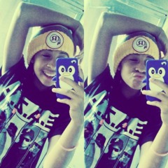 Solar Eclipse Brewer