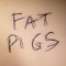 FAT PIGS