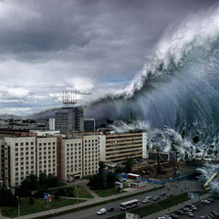 TSUNAMI DISASTER