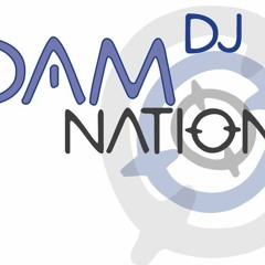 DJ DAMnation