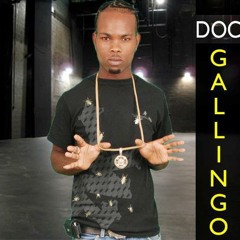 Doc Gallingo 1