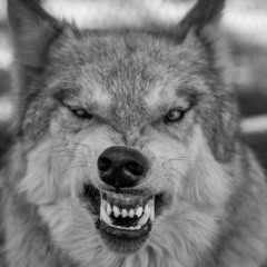 Angel Rodriguez Orlando