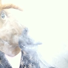 NUGS BUNNY