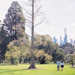 underthesouthercross