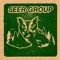 Seer Group