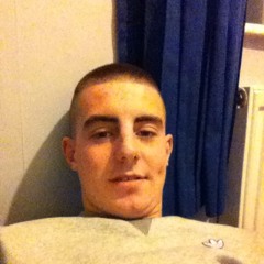 stu diggy dog