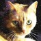 Lynn Maycroft