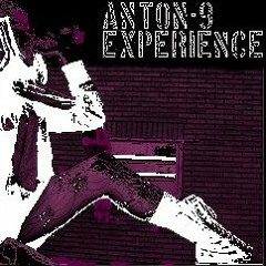 Theanton9experience