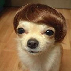 Dirty Groarke & the funks