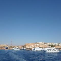 defected deep junkie