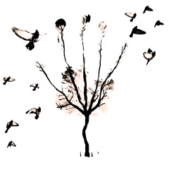 MANOrecordings