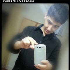 shees_ali_varzgani