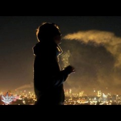 sensi_star Julian_Goll.