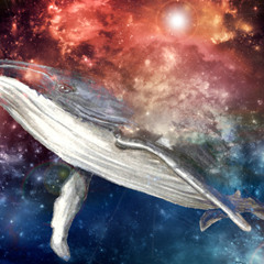 Aspiring Space Whale