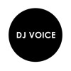 DJ Voice