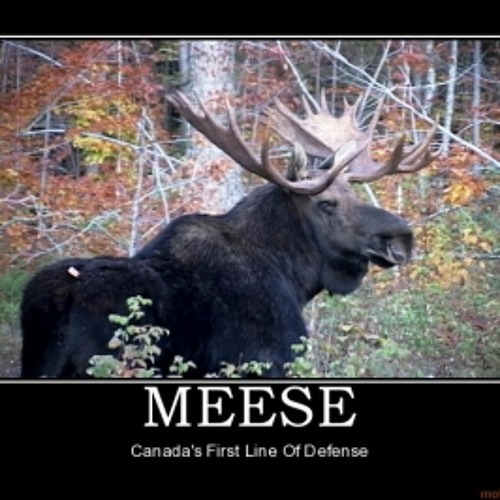 01 The Kill (feat. Niki Randa)