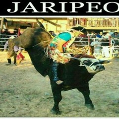 jaripeos_slp
