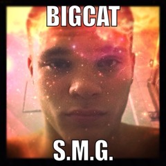 bigcat#S.M.G.