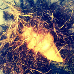 Ayurvedart Yoga Ayurveda