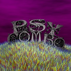 PsYCombo