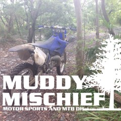 Stream Muddy mischief music  Listen to songs, albums, playlists 