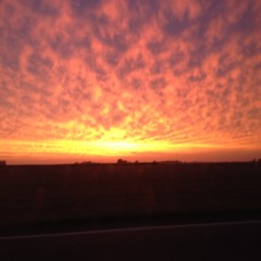 Mitchell Ray Mullins