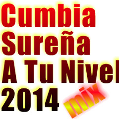 SUPER MIX DE CARLOS ALARCON Y LOS GENIOS X 4 DJMAS 2014
