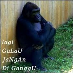 Tony Q Rastafara - 06 Ada Gula Ada Semut