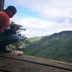 Gerson Alvarado 1