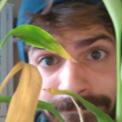 flazaro