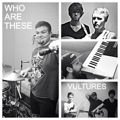 Who Are These Vultures