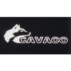 BCavaco