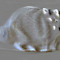 Arctic Fox