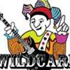 Wildcard Band